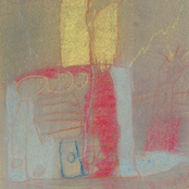 El perfum dels vegetals