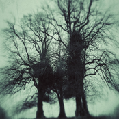 Cover Yourself In Cobwebs And Mists