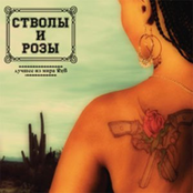 Cтволы и Розы
