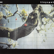 Tinyspot - EP