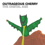 Rave Wildly by Outrageous Cherry