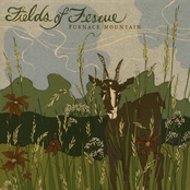 Furnace Mountain: Fields of Fescue