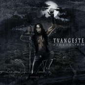 Tvangeste - Introduction