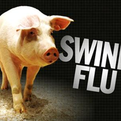 Swine Flu