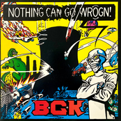 Nothing Can Go Wrogn!