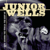 Got My Mojo Working by Junior Wells