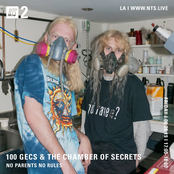 100 gecs & the chamber of secrets Album Picture