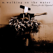 Bury Me Upright by M. Walking On The Water
