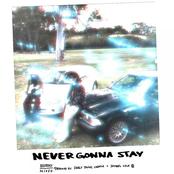 Never Gonna Stay