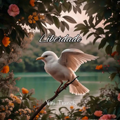 Liberdade