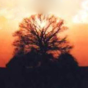 Vereint Unter Dem Banner Der Ahnen