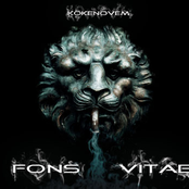 Fons Vitae