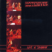 Liquidator by The Hotknives