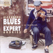 blues expert