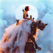 Bichinho (para onde vai o amor?)