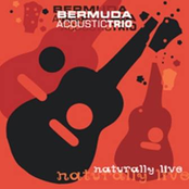 Pride And Joy by Bermuda Acoustic Trio
