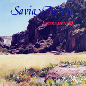 Instrumental | de Colección