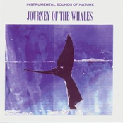 Journey Of The Whales Album Picture