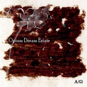 The Forest Burns by Opium Dream Estate