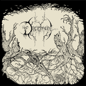 Despair the Withered Shadows