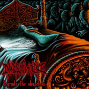 Nocturnal Visists by Images Of Violence