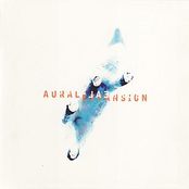 Marsh Feast by Aural Expansion