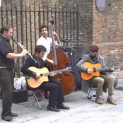 tolga quartet