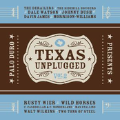 Texas Unplugged, Vol 2