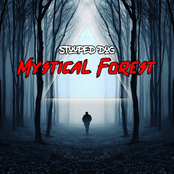 Mystical Forest
