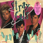 Rockin' All Over The Place by Stray Cats