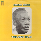 My Love Comes Down For You by John Lee Hooker