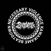 NECESSARY VIOLENCE