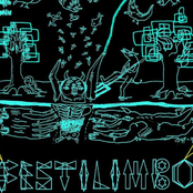 Festilimbo