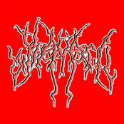 ✨ or 𝑠𝑡𝑎𝑟 𝑤𝑎𝑣 (𝑓𝑜𝑟𝑔𝑜𝑡𝑡𝑒𝑛)