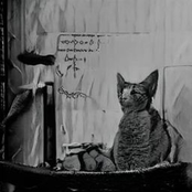 Live At The Garage Vol. 4