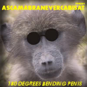 180 Degrees Bending Penis
