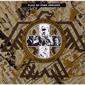 The Sun by Flux Of Pink Indians