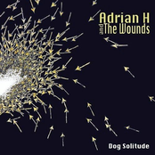 The Night My Mother Screamed by Adrian H And The Wounds