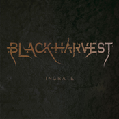 ingrate
