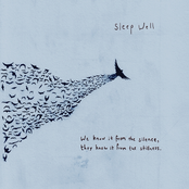 We Know It From The Silence, They Know It From The Stillness