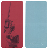 Katie The Pest / Banner Day Split