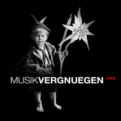 Musikvergnuegen