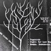 Unknown demo