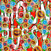 At the Pace of Outrage