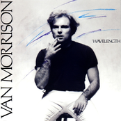 Checkin' It Out by Van Morrison