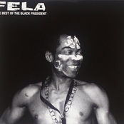 Sorrow Tears And Blood by Fela Kuti