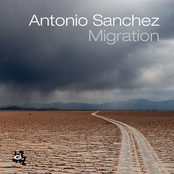 Antonio Sanchez: Migration