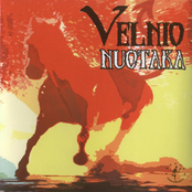 velnio nuotaka