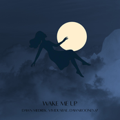 Wake Me Up