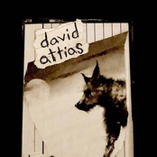 two summers (2016​-​2018)